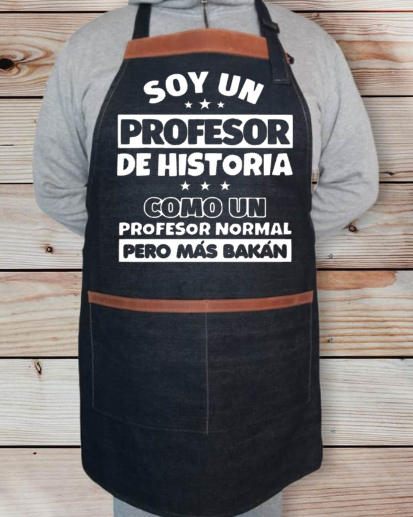 Profesor de Historia