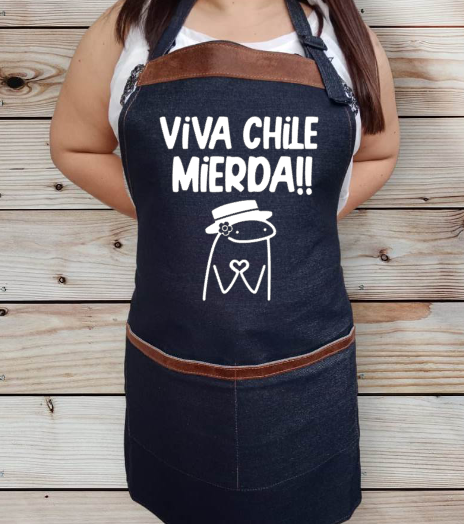 Viva Chile Mierda M