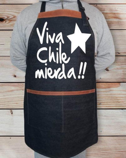 Viva Chile Mierda Estrella