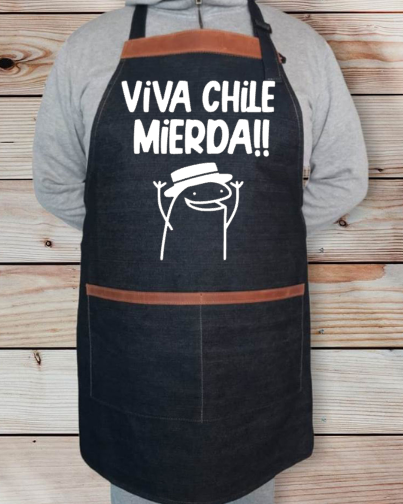 Viva Chile Mierda York